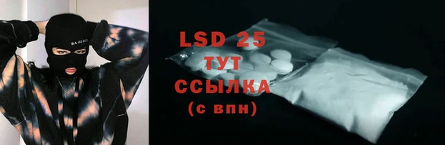 стафф Касимов