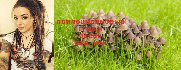 стафф Касимов