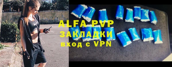 стафф Касимов
