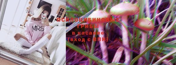стафф Касимов