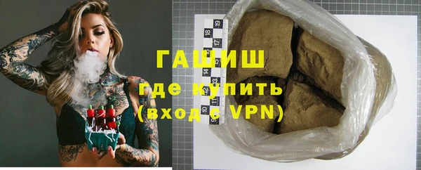 стафф Касимов