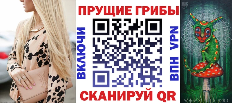 Купить где  Елизово  Галлюциногенные грибы Magic Shrooms 